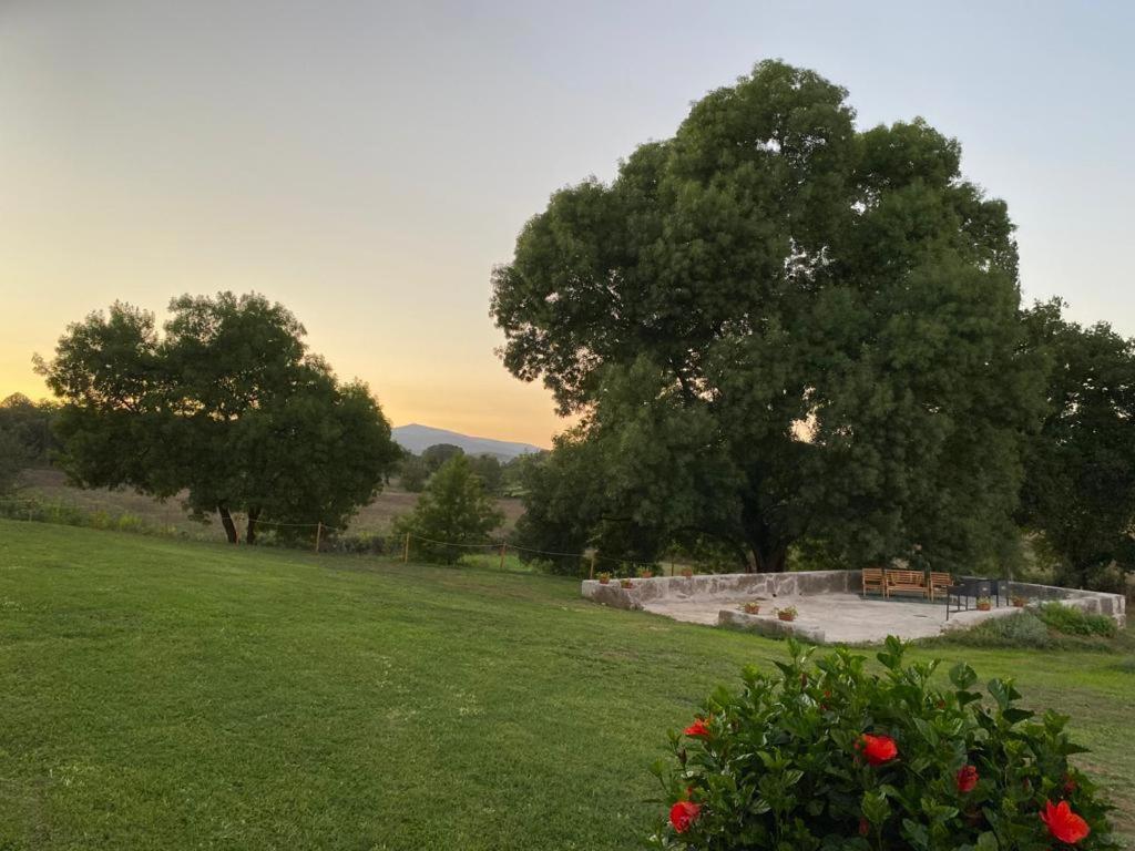 Il Casale Delle Rose Aparthotel Paganico  Buitenkant foto